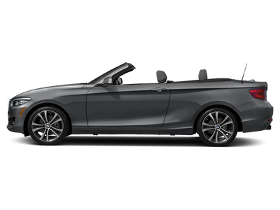 2019 BMW 2 Series 230i